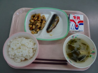DSC05354