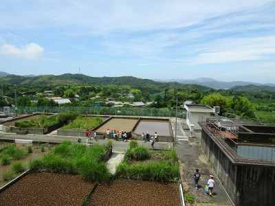 DSC06496